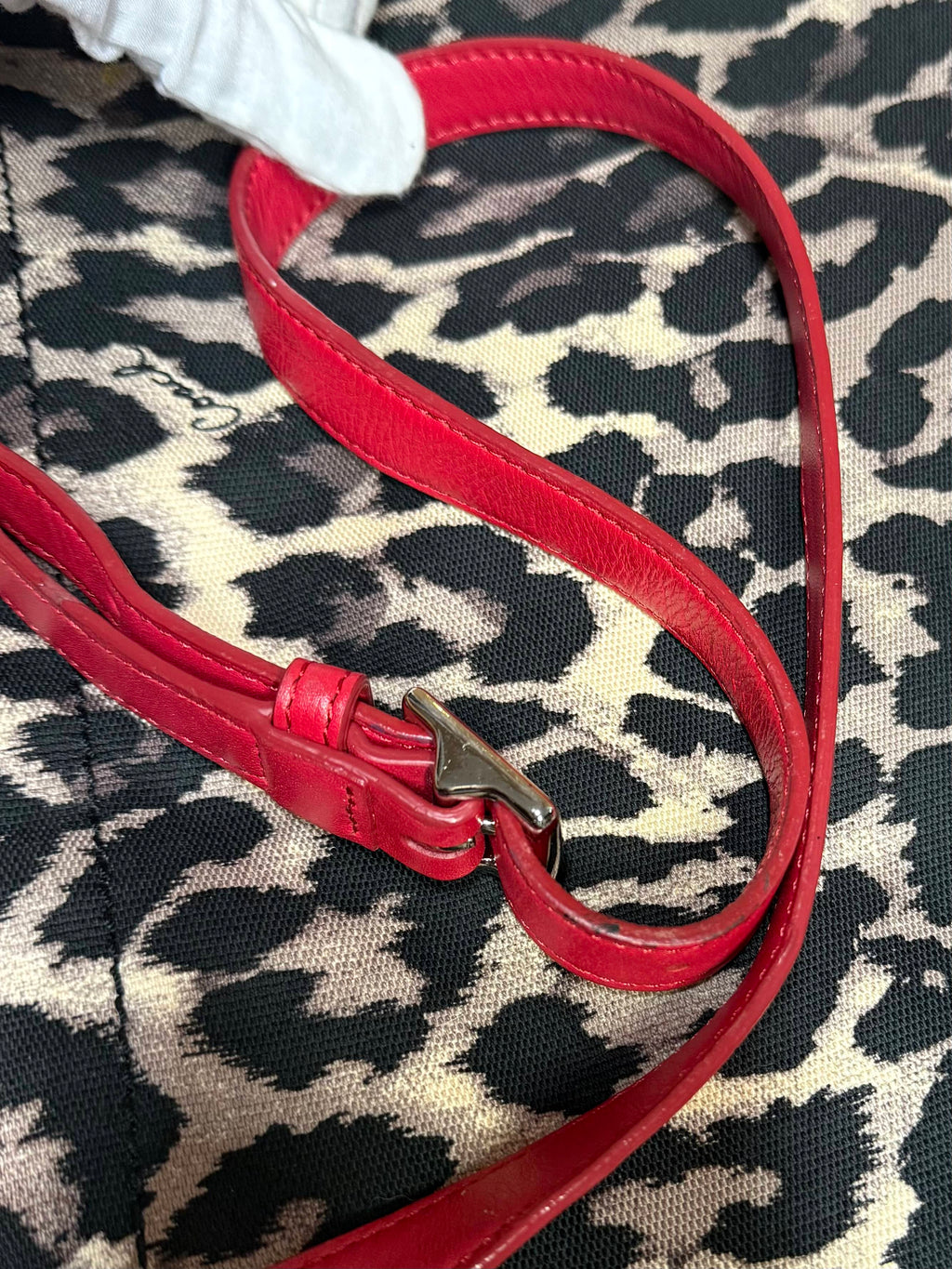 Coach Parker Ocelot/Leopard Print Hobo Bag