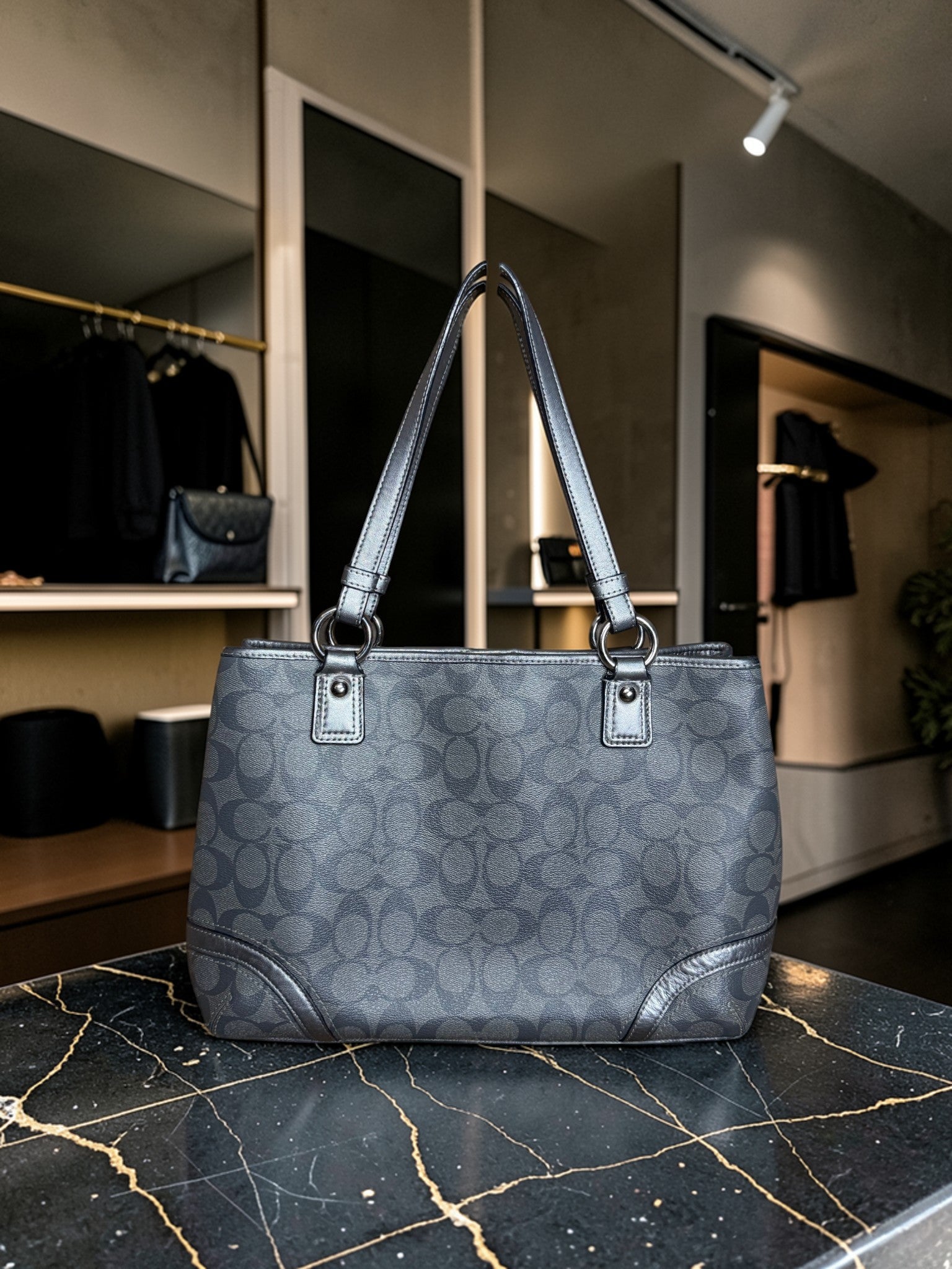 Coach Signature Gray Tote Bag