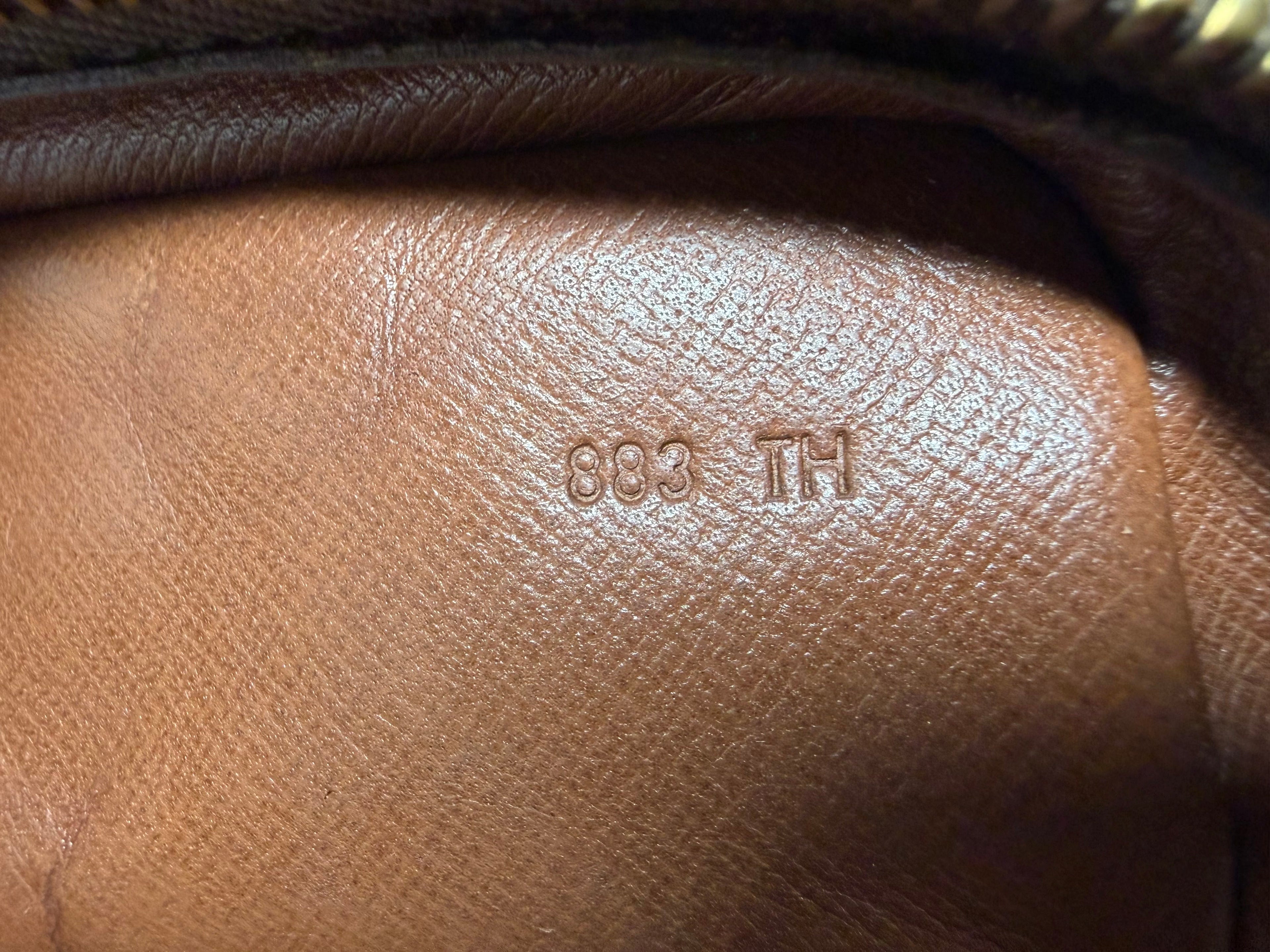 Louis Vuitton Monogram Amazone Crossbody Bag