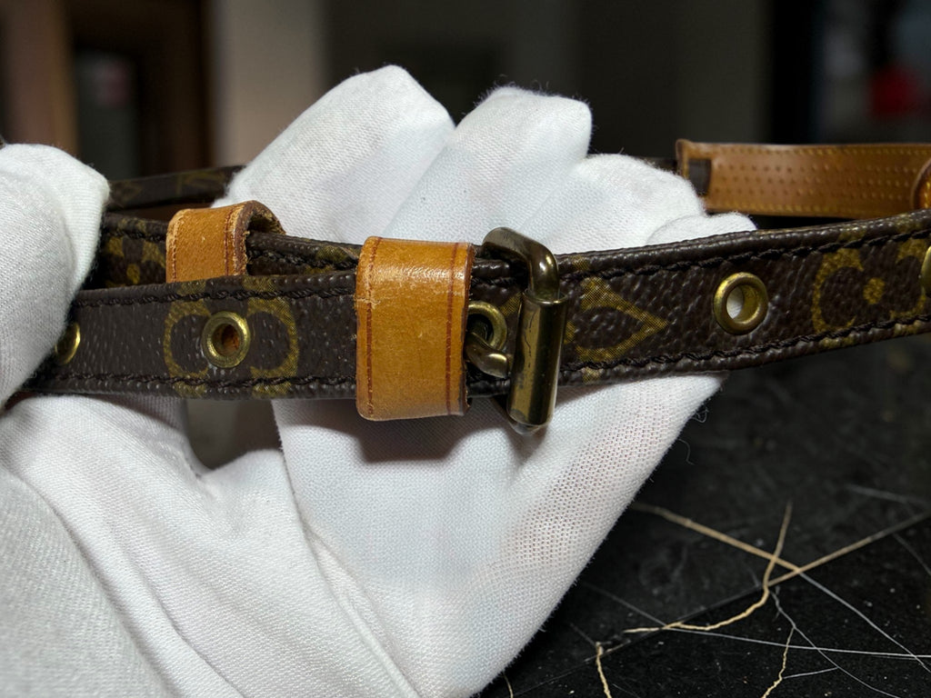 Louis Vuitton Monogram Amazone Crossbody Bag