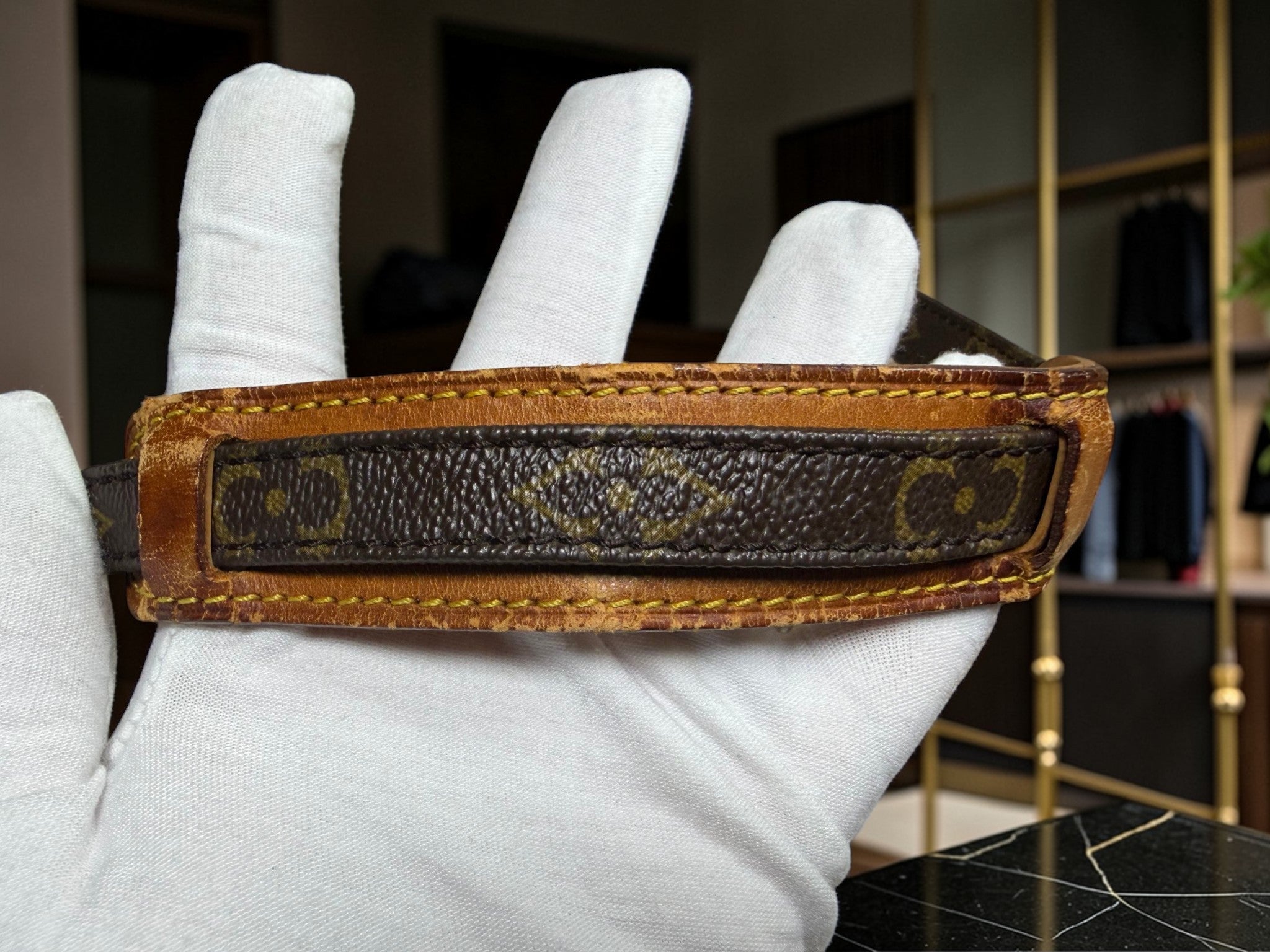 Louis Vuitton Monogram Amazone Crossbody Bag