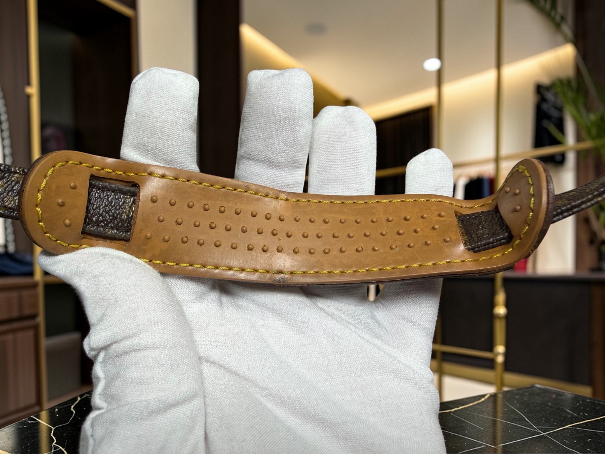 Louis Vuitton Monogram Amazone Crossbody Bag