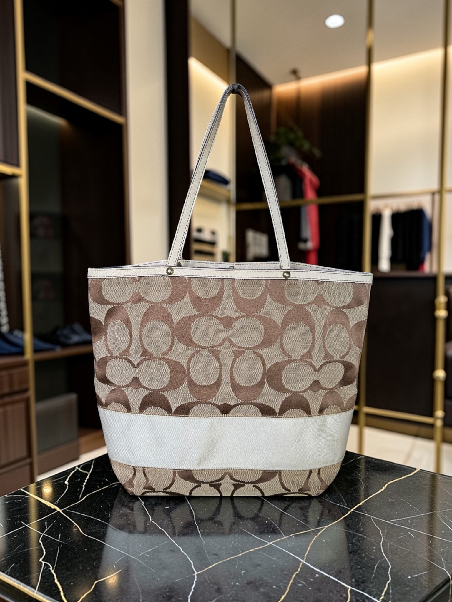 Coach Signature Canvas Tragetasche (D06K-10125)