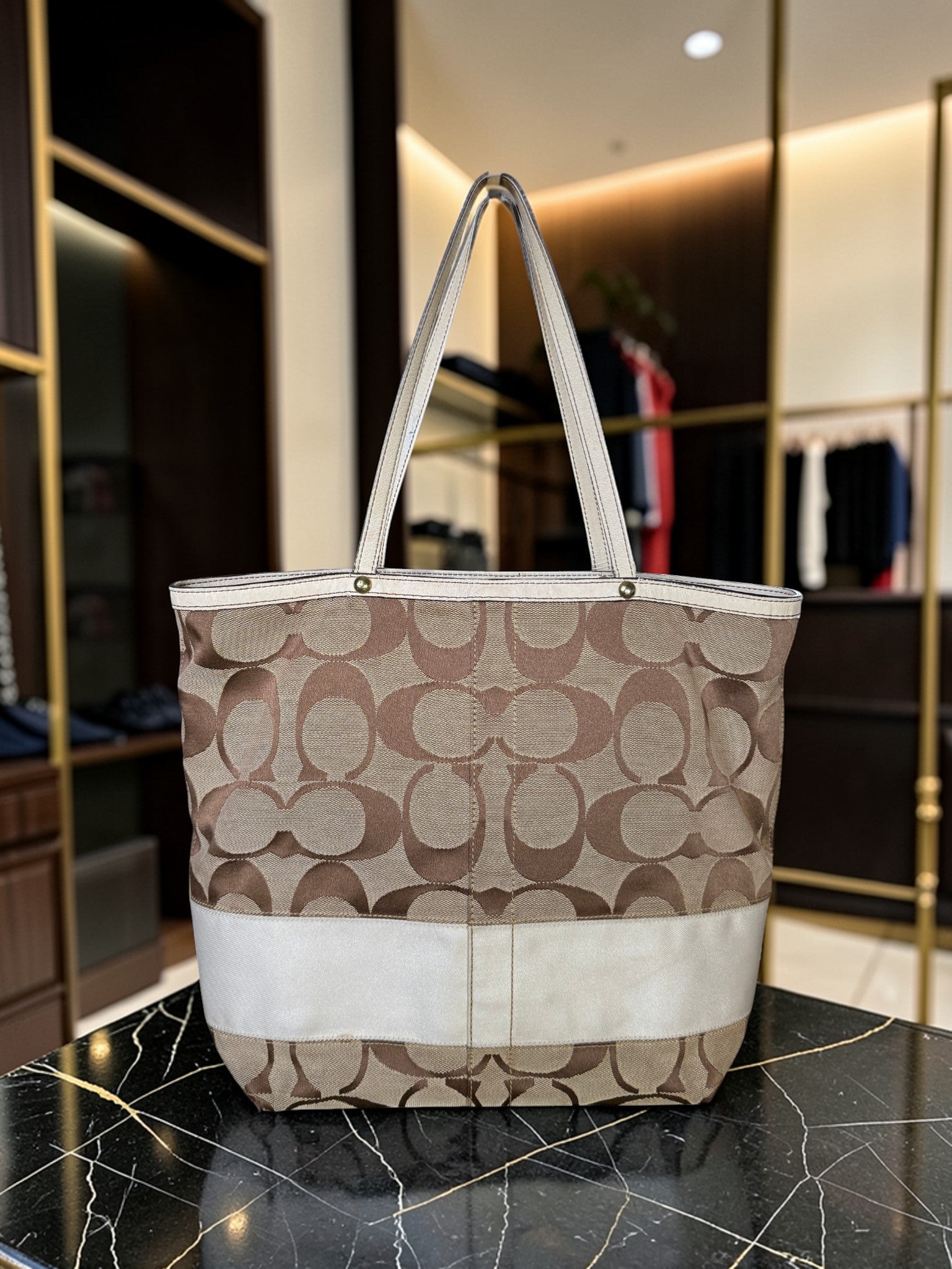 Coach Signature Canvas Tragetasche (D06K-10125)