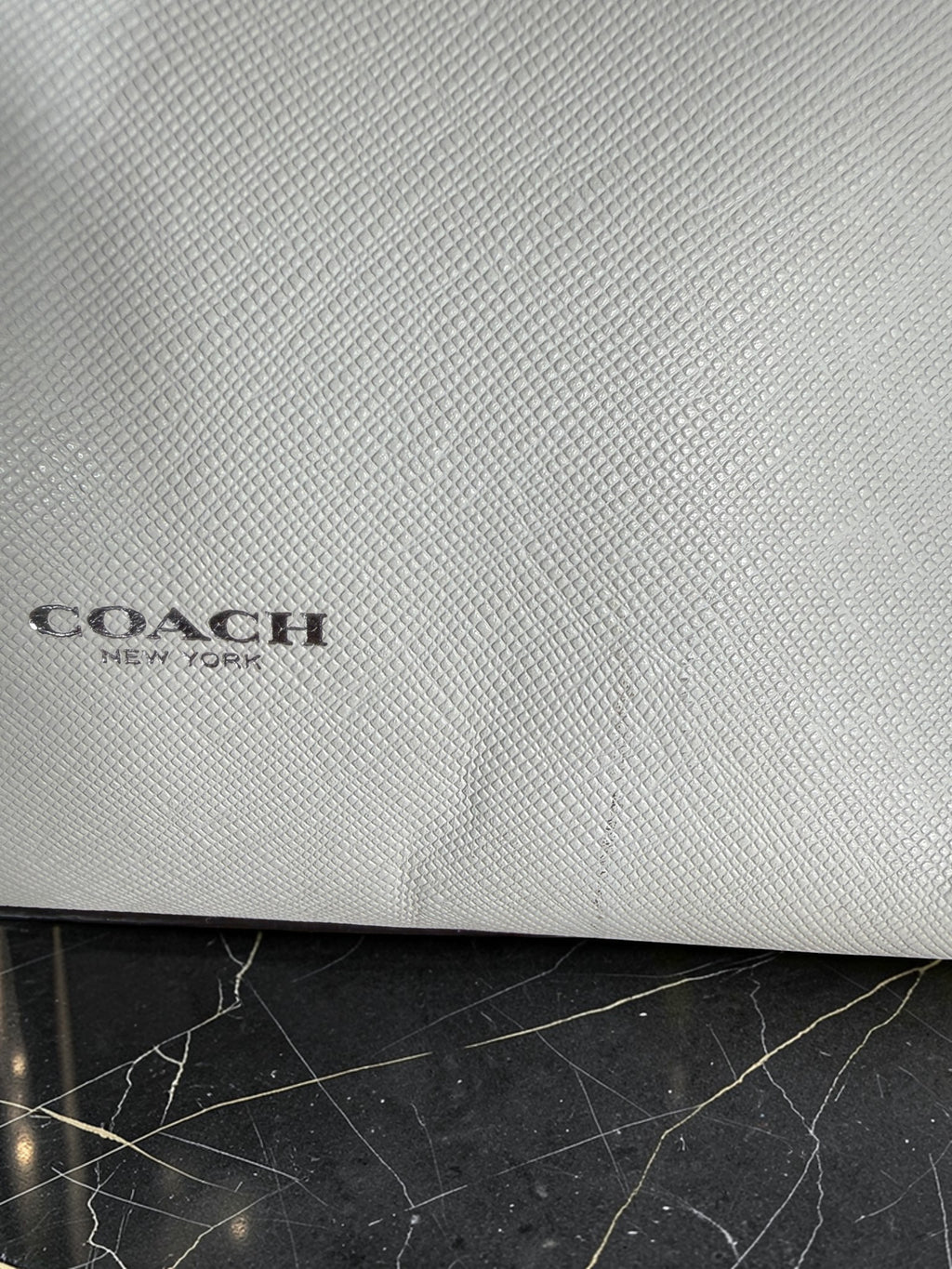Coach Bleecker Riley Mini Carryall Tote crossbody White leather