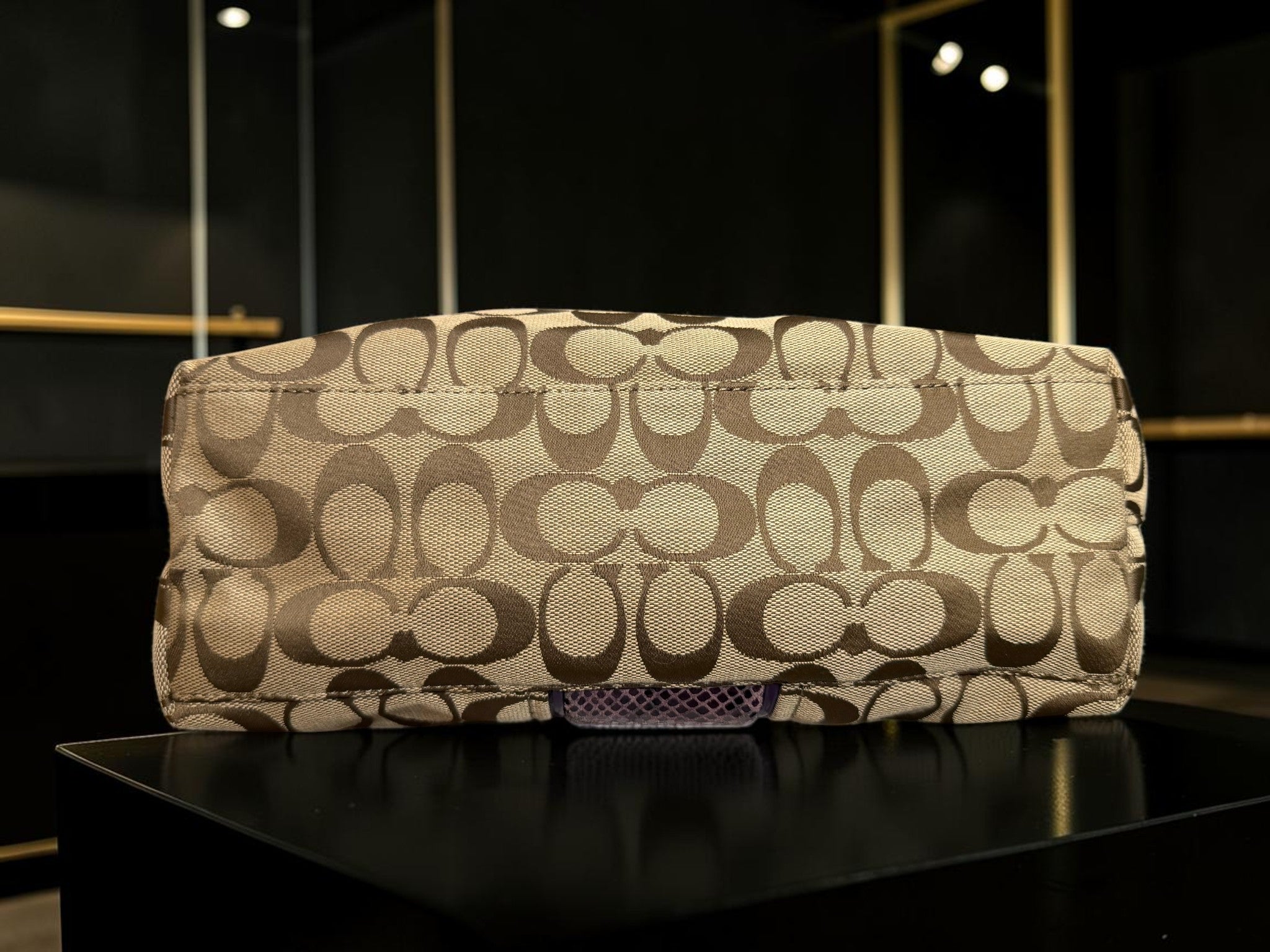 Coach Signature Python Tote – Monogram Canvas with Purple Python Accents