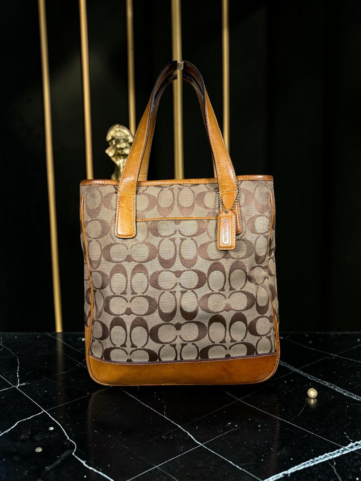 Coach Hamptons Signature Canvas Tote Bag – Style 6092
