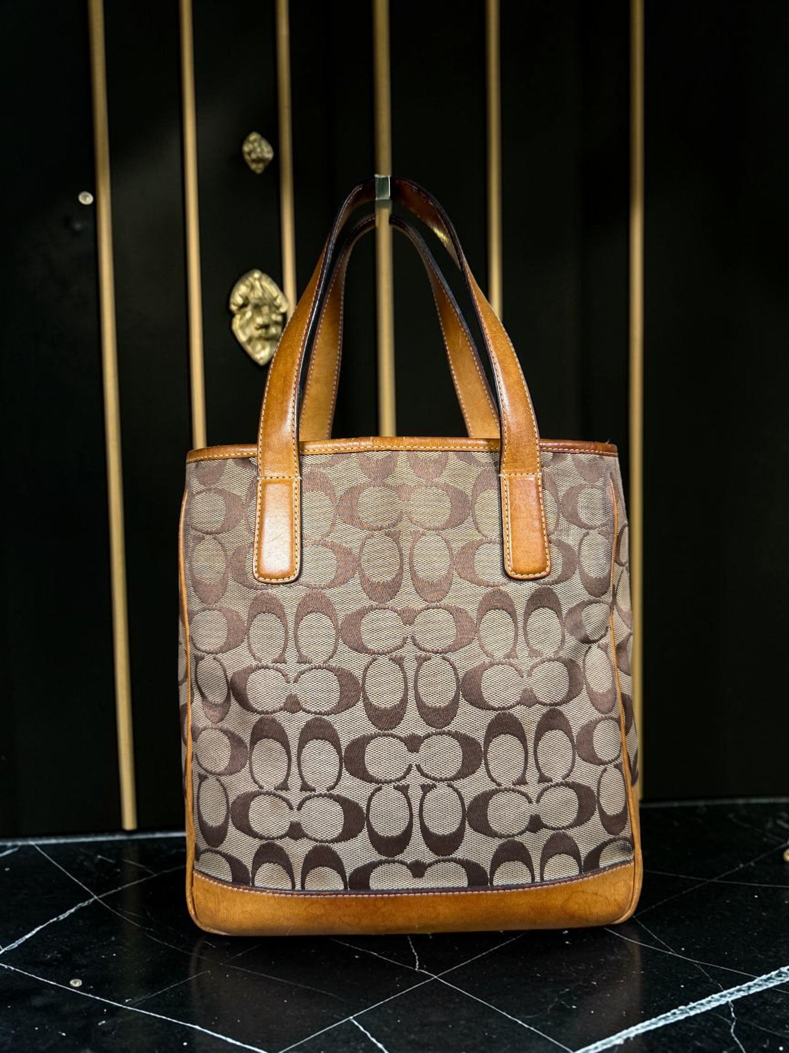 Coach Hamptons Signature Canvas Tote Bag – Style 6092