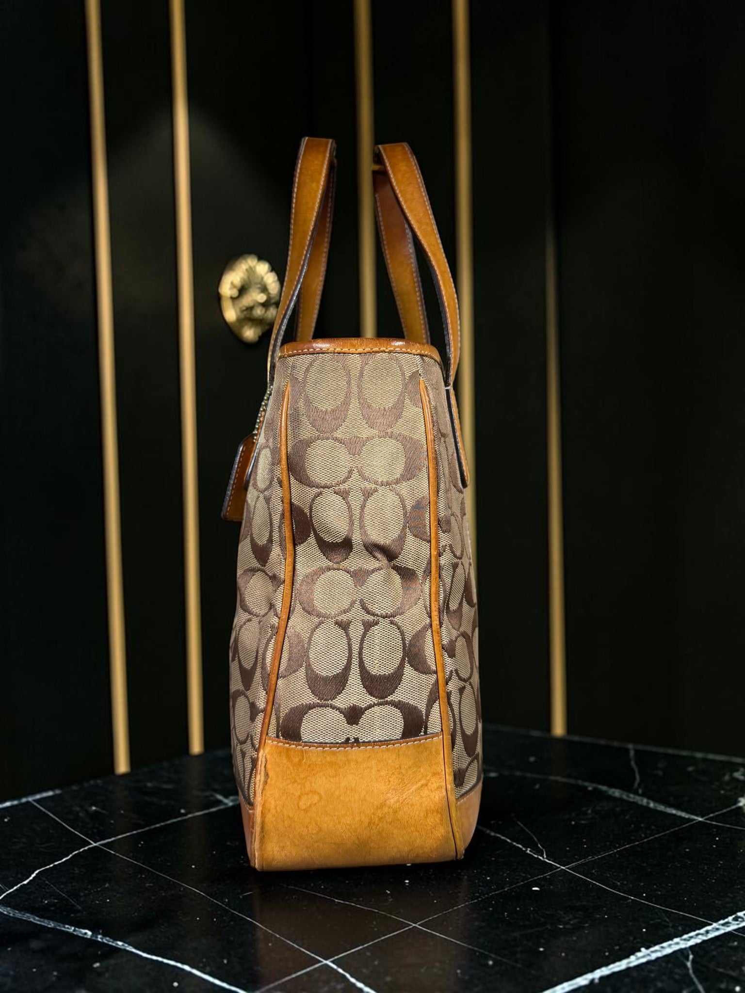Coach Hamptons Signature Canvas Tote Bag – Style 6092