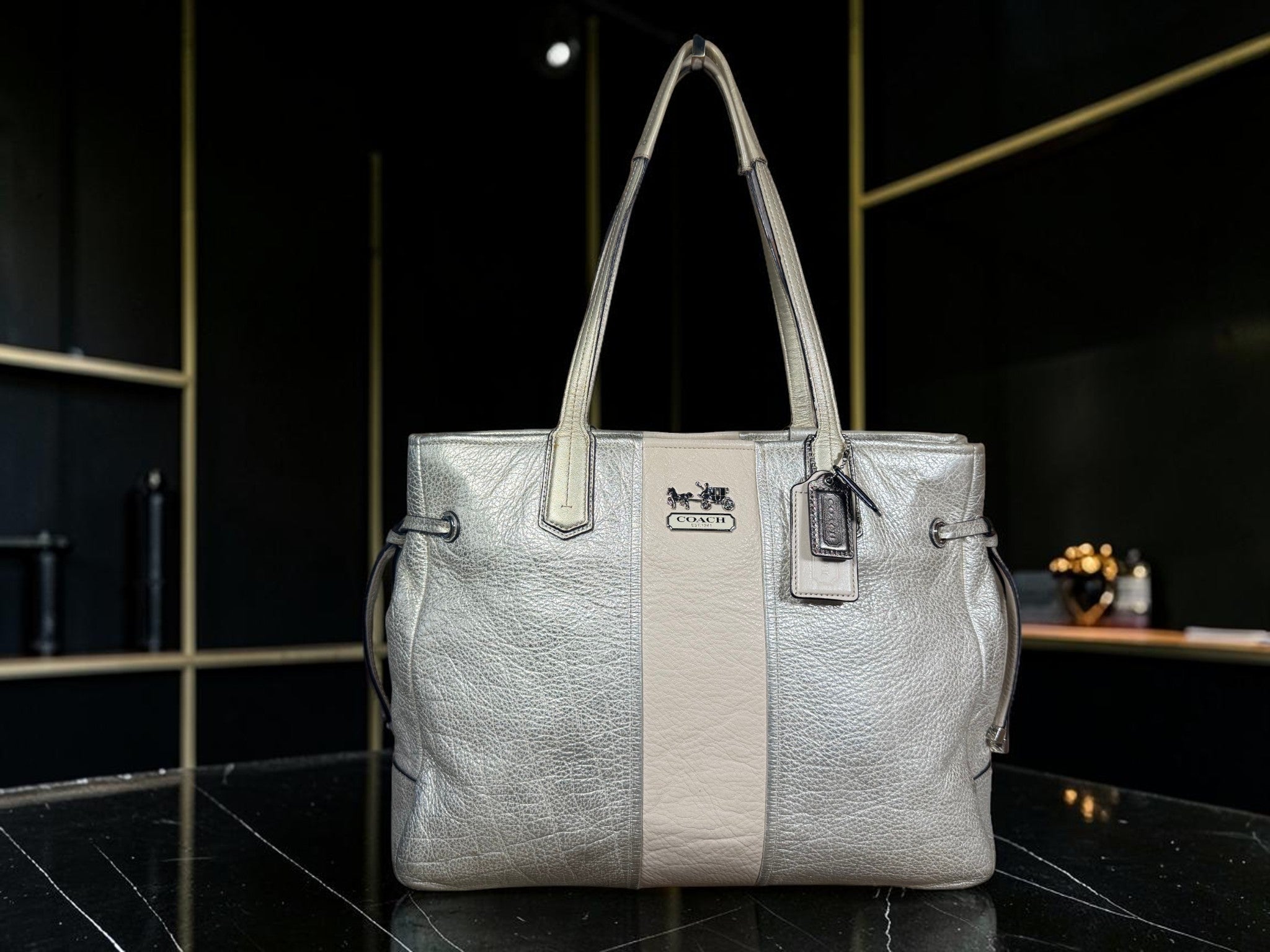 Coach Chelsea Charlie Carryall Tote – Metallic Silver Leather with Beige Stripe, Style 18962