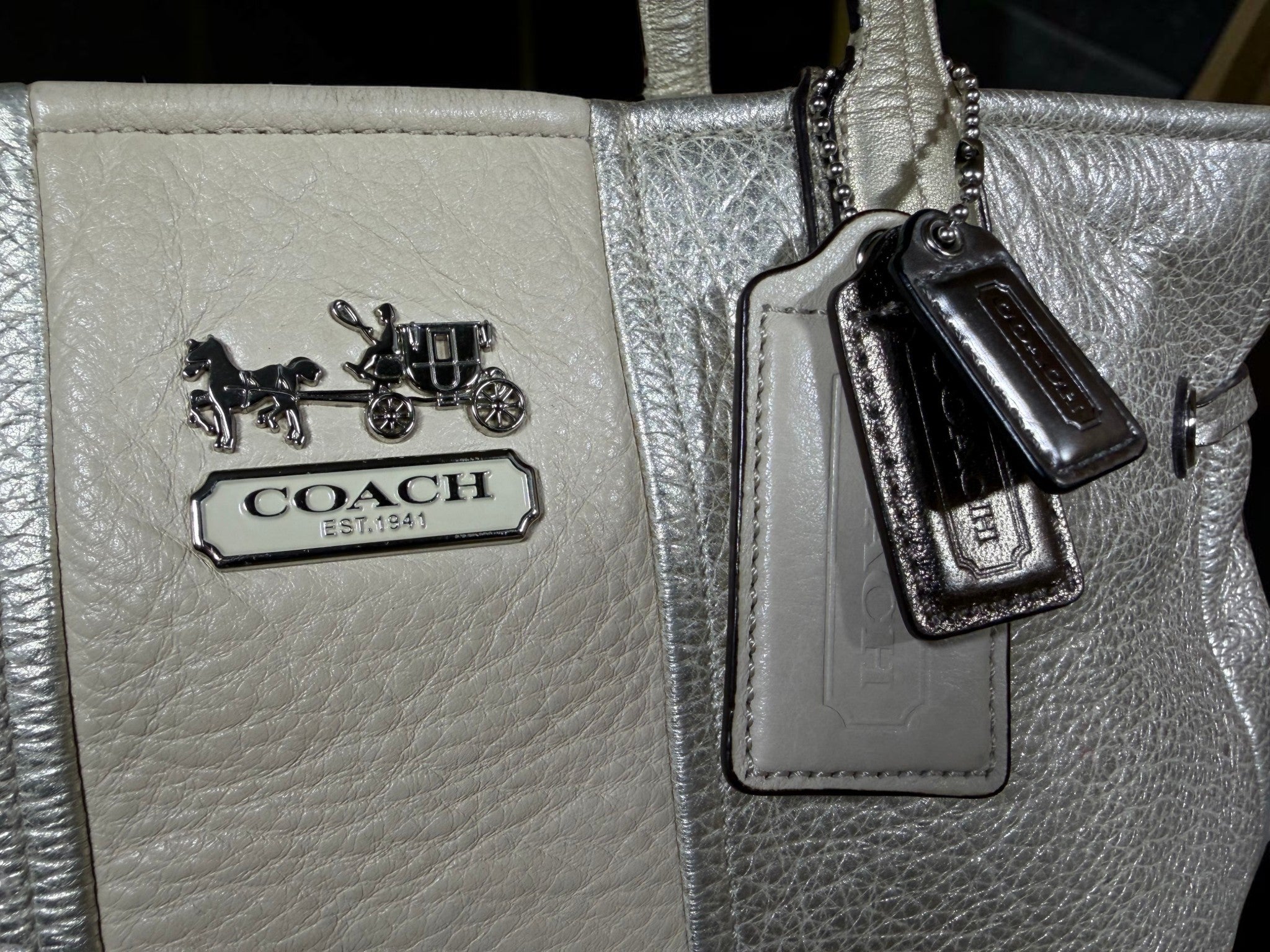 Coach Chelsea Charlie Carryall Tote – Metallic Silver Leather with Beige Stripe, Style 18962