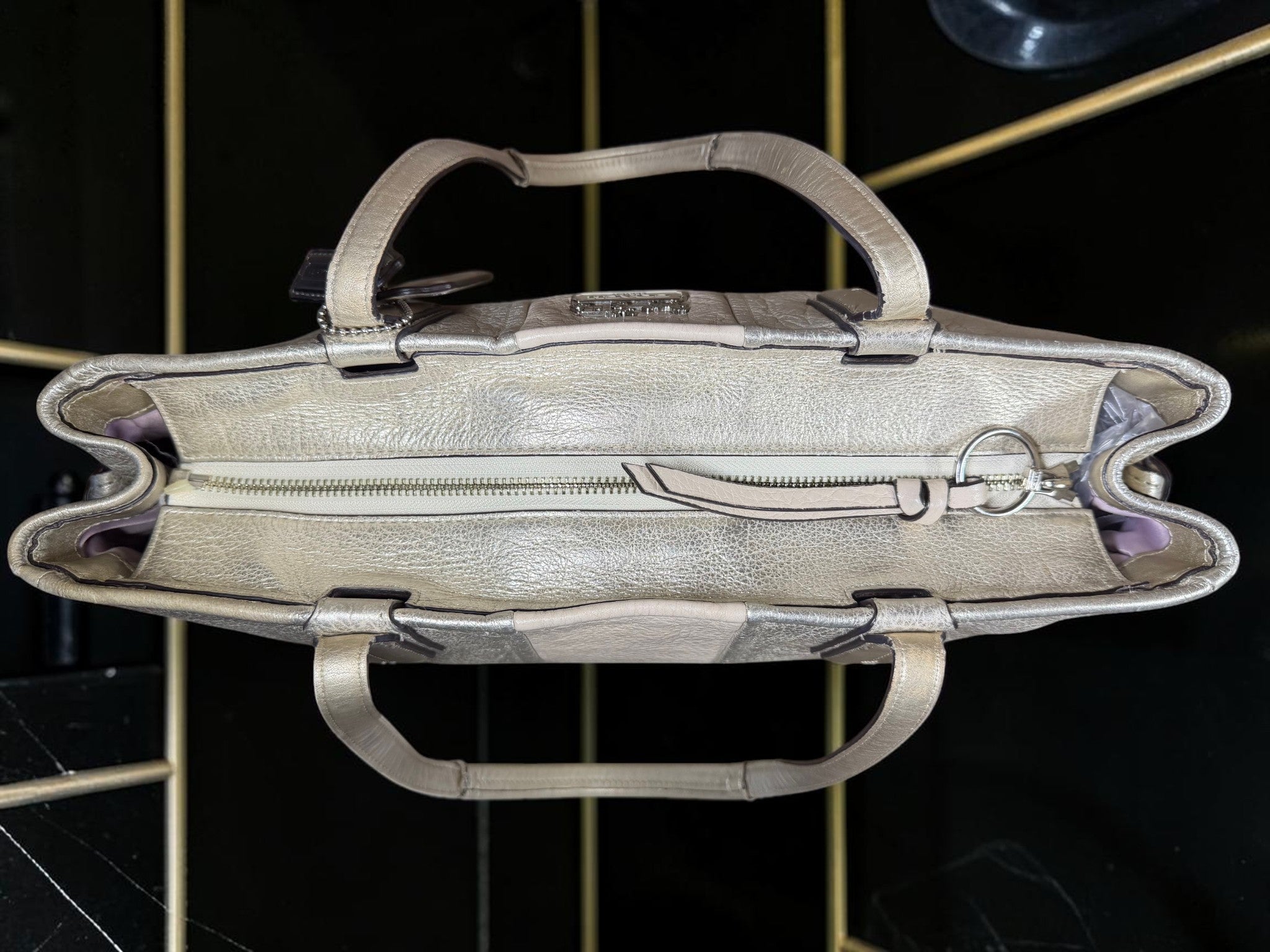 Coach Chelsea Carryall Tote shoulder bag Metallic Silver Leather stripe