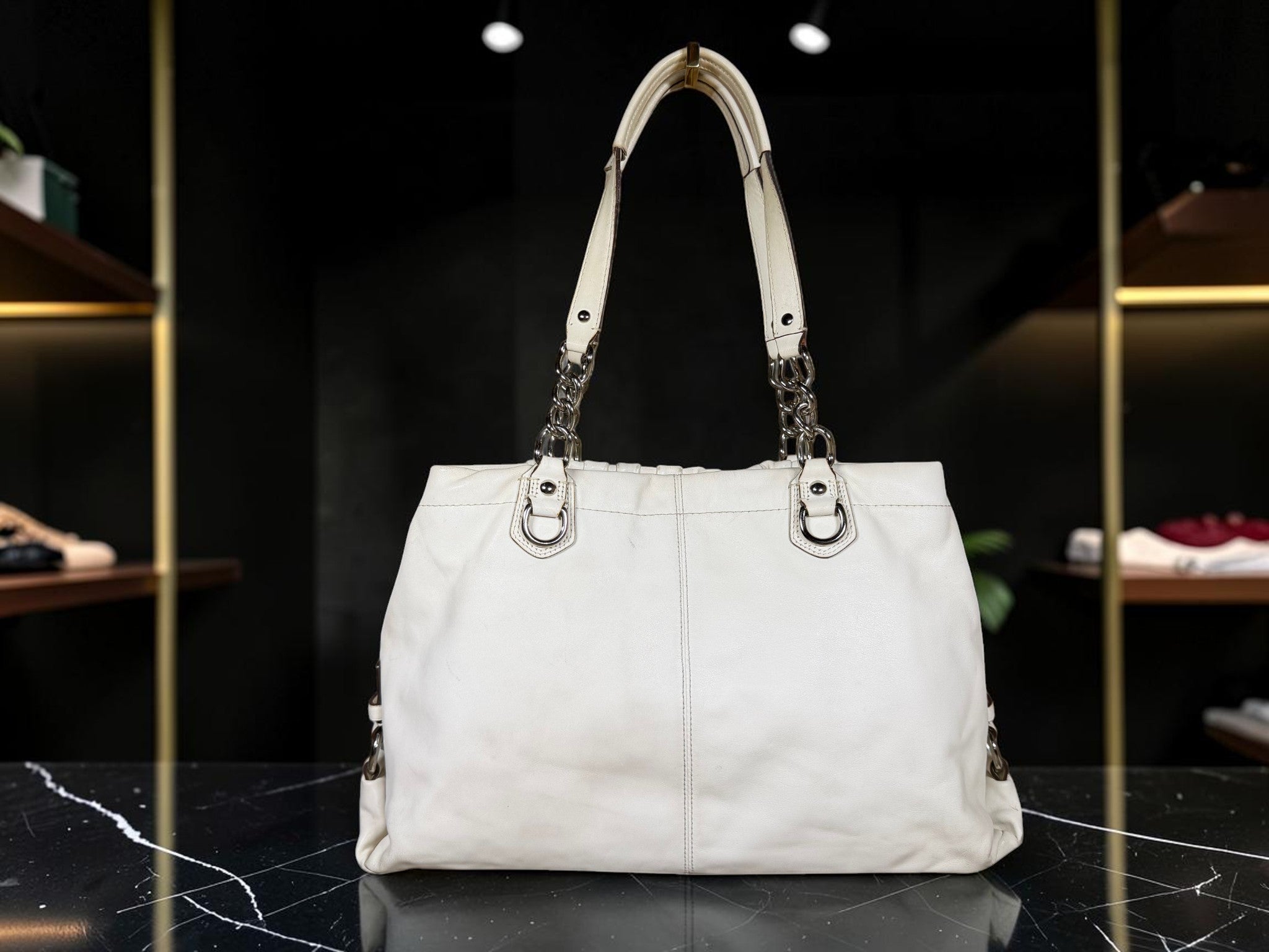 Coach Ashley Leather Satchel (A1269 F17571)