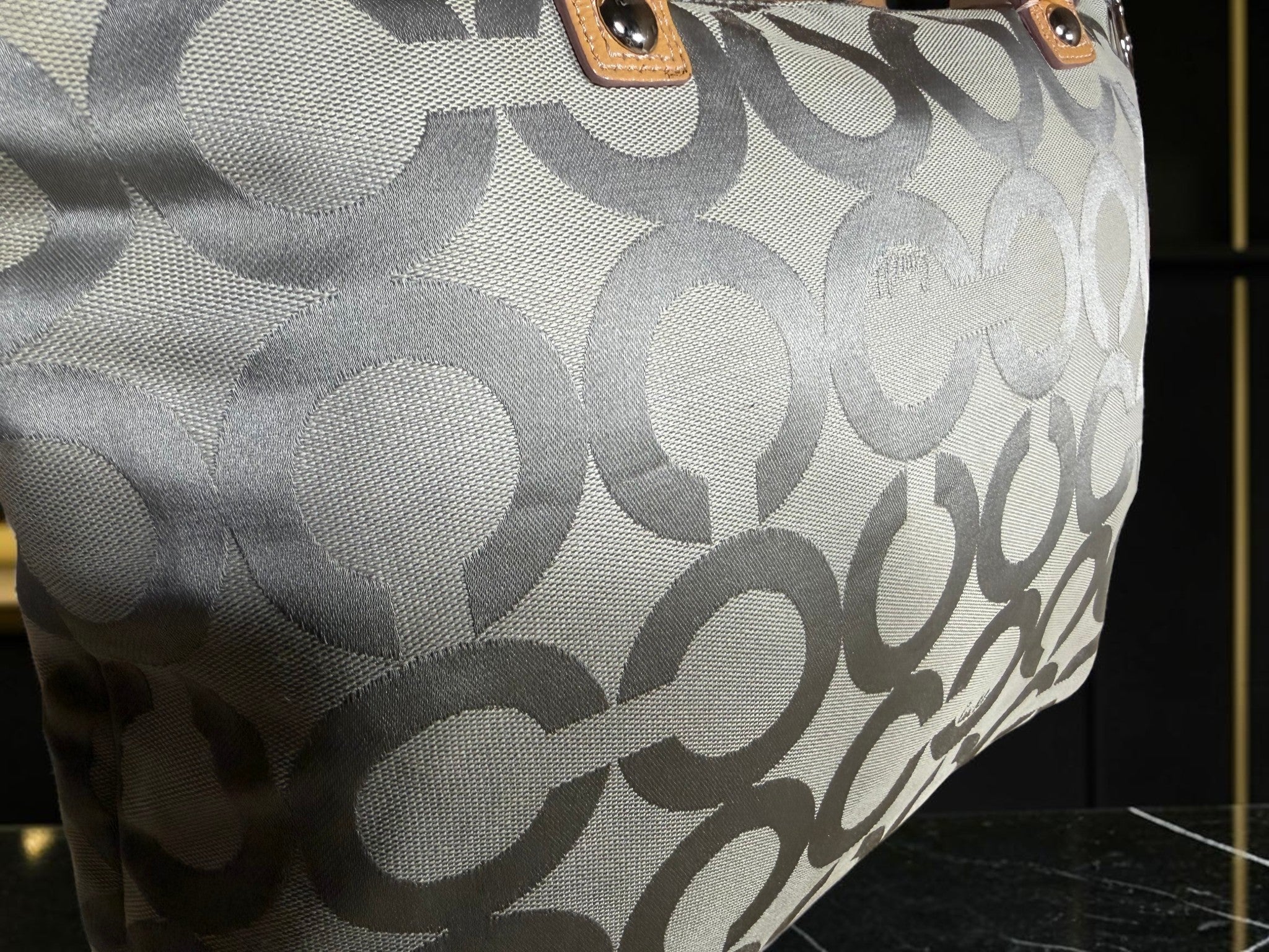 Coach Poppy Op Art Glam Tote (D1093-15331)