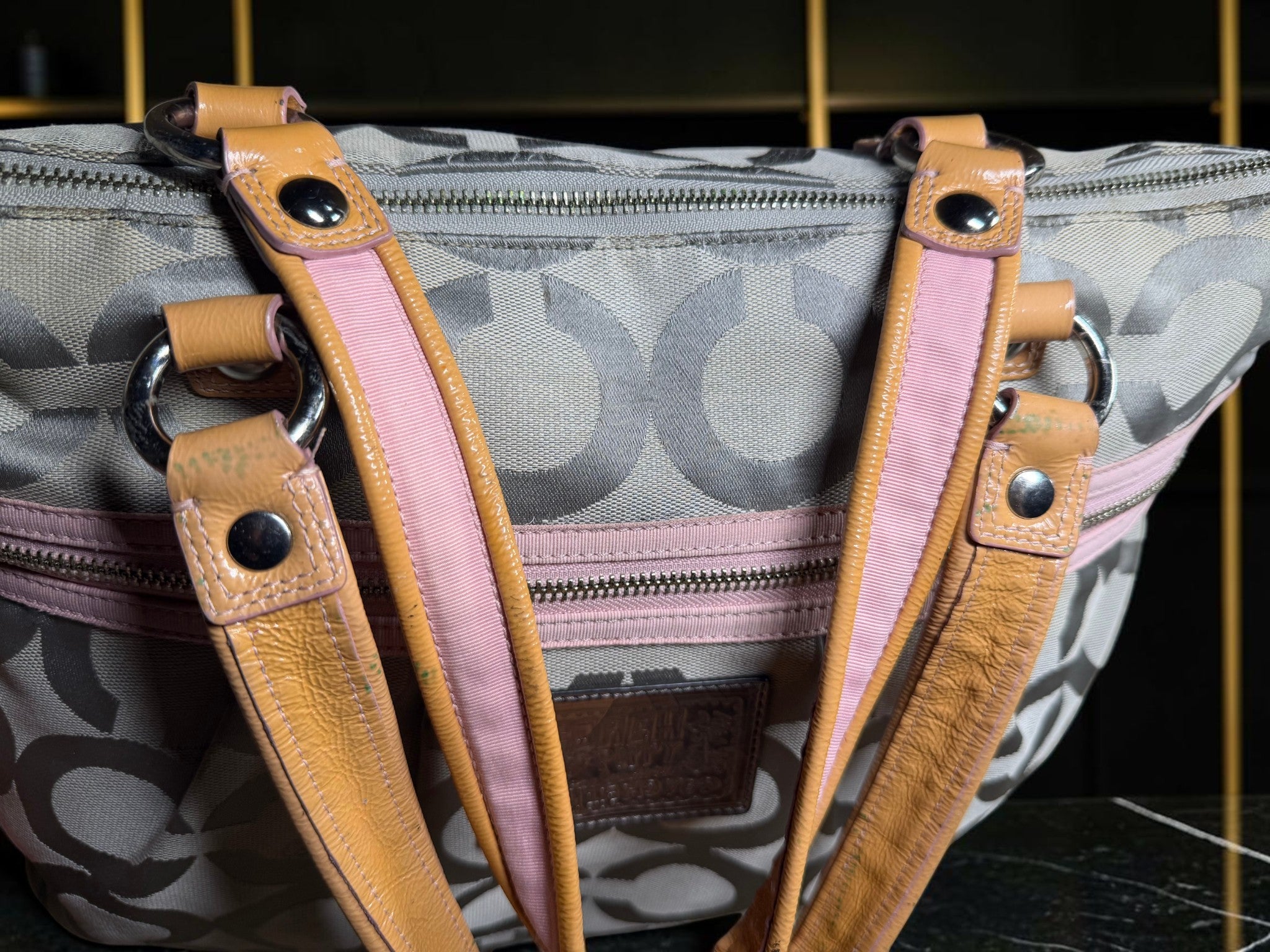 Coach Poppy Op Art Glam Tote (D1093-15331)