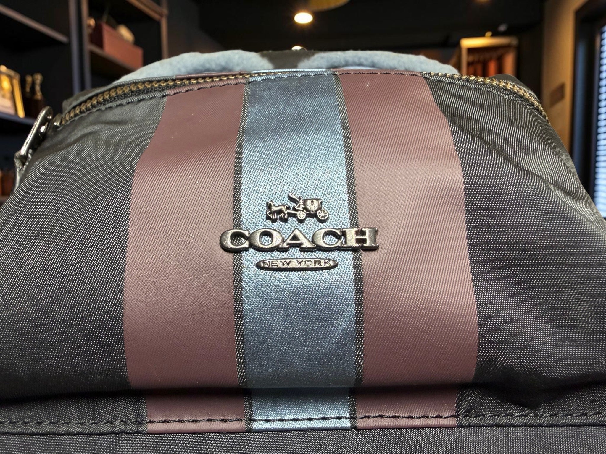 Coach Mini Monster Charlie Backpack (Bear/Raccoon Face Edition) RARE (F22894)