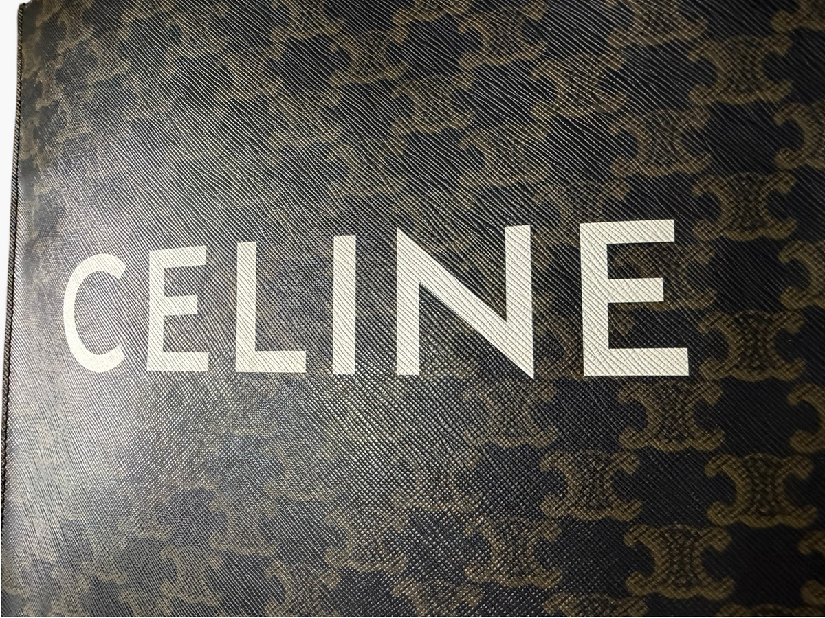 Celine Small Vertical Cabas in Triomphe Canvas with CELINE Print